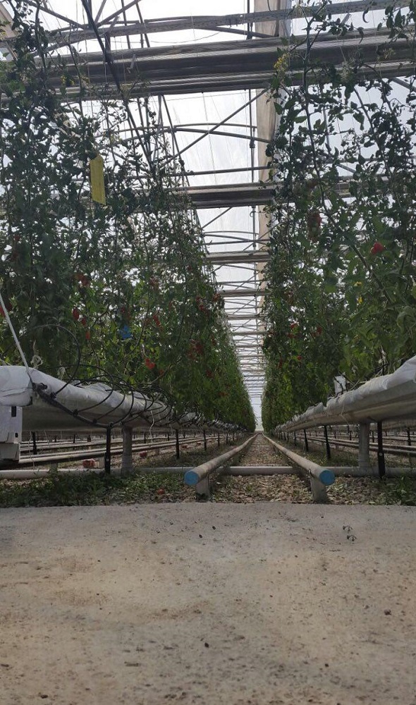 Photo 2016 11 11 16 59 431