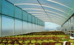 آشنایی با سازه های گلخانه ای
