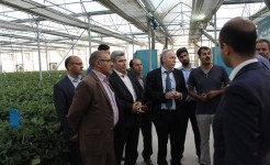 بازدید مشاور وزیر کشاورزی هلند از مجموعه